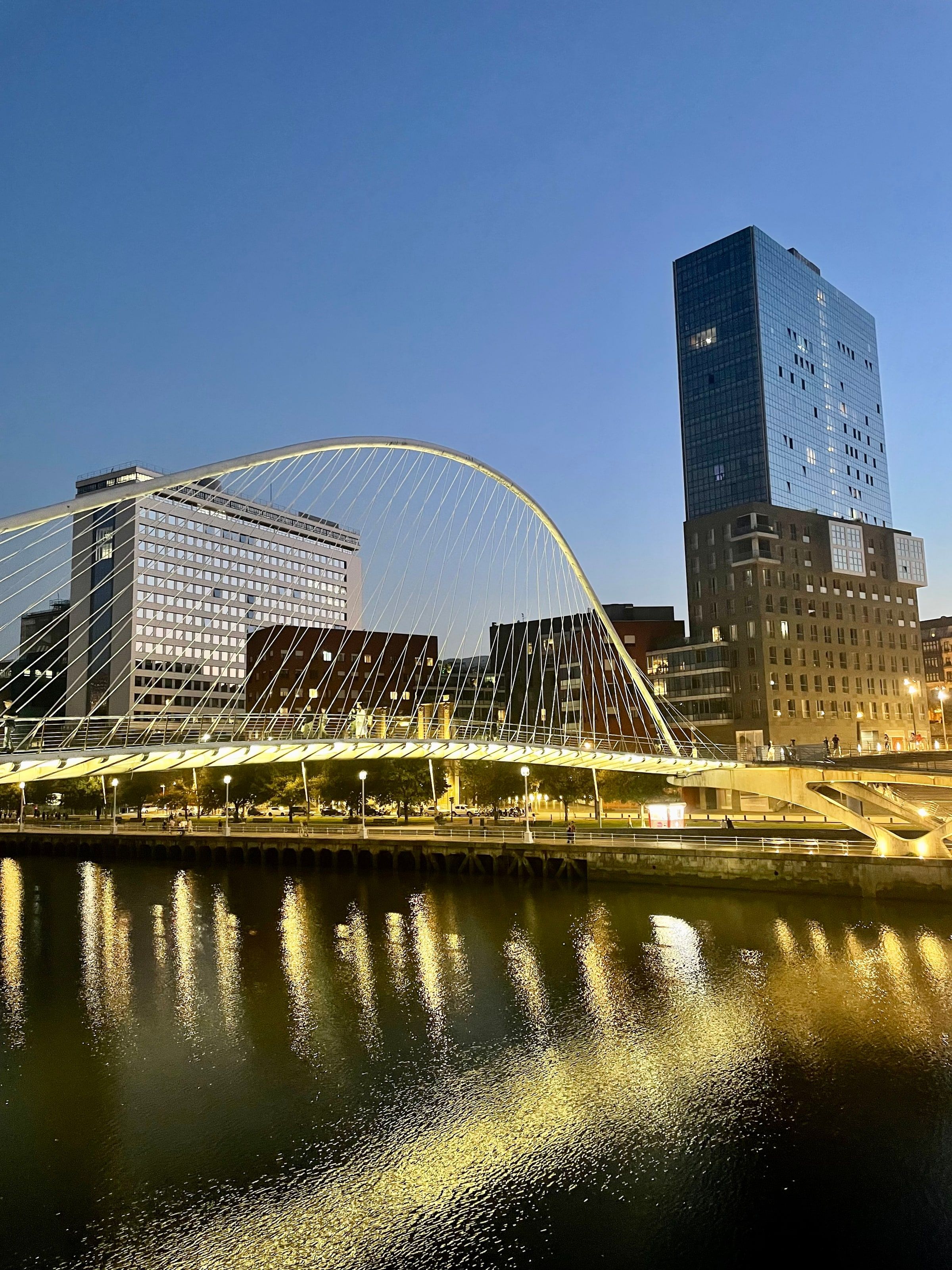 El puente Zubizuri y las torres de noche