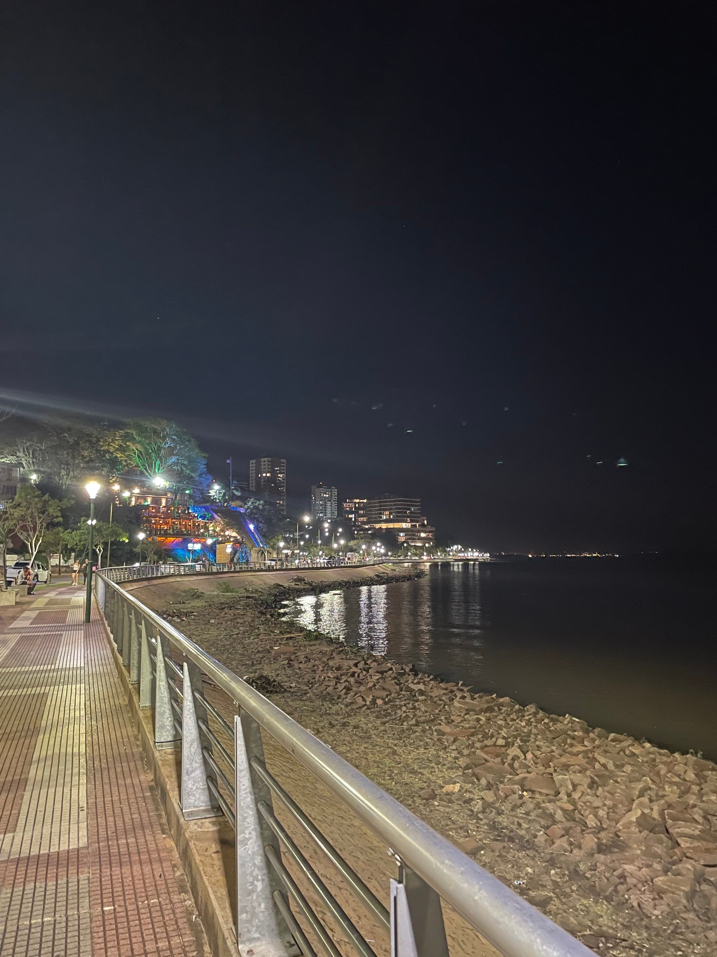 La costanera de Posadas de noche